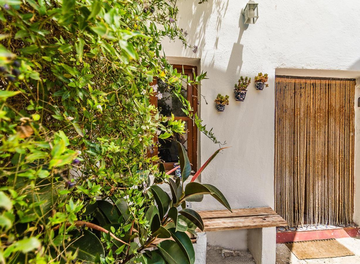 Casa Mundo - 16Th Century Traditional White Village House With Pool Pinos del Valle Exteriér fotografie